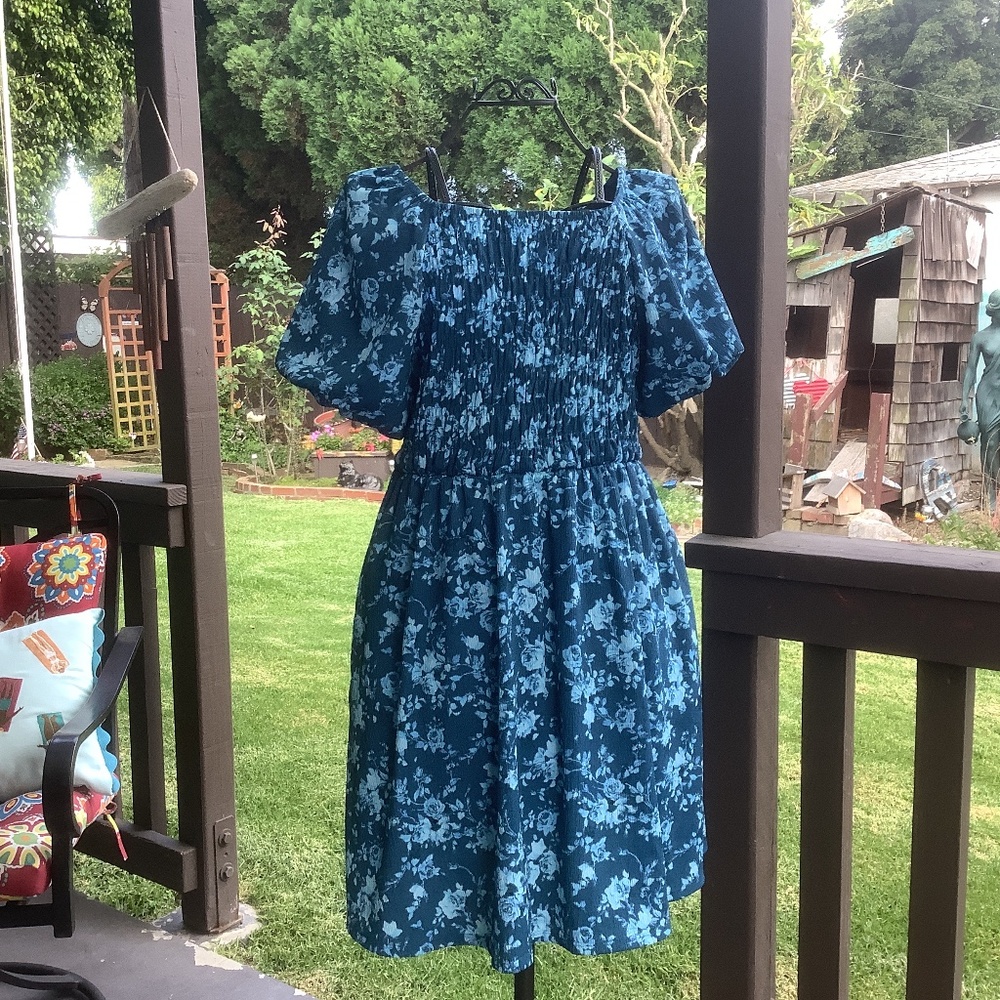 LuLaRoe Alina dress size M blue on blue floral